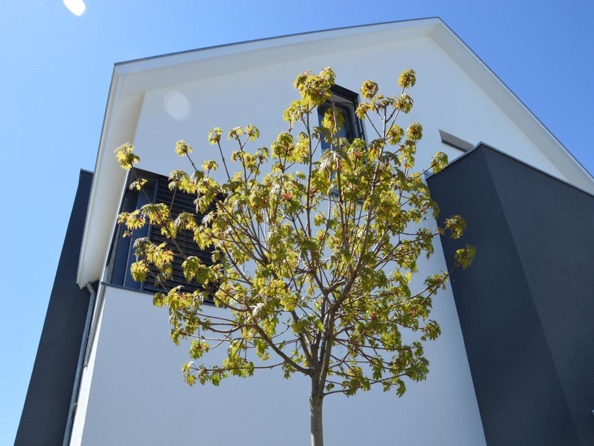Apartamento Kapps Haus Langenargen Exterior foto